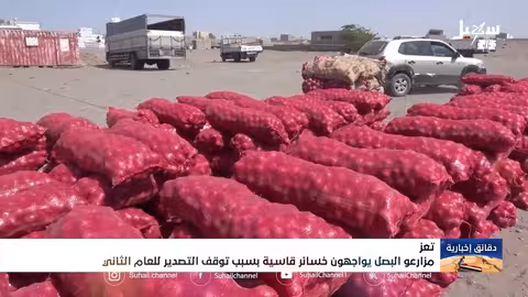 خسائر فادحة لمزارعي البصل في تعز والحديدة بسبب توقف التصدير