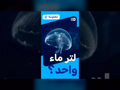 كم كائن حي في لتر ماء واحد؟
