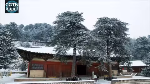 معبد فوغوانغ تحفة معمارية من عهد أسرة تانغ