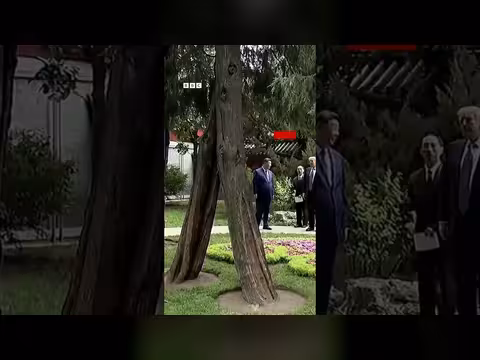 جولة ترامب في الحديقة السرية في الصين