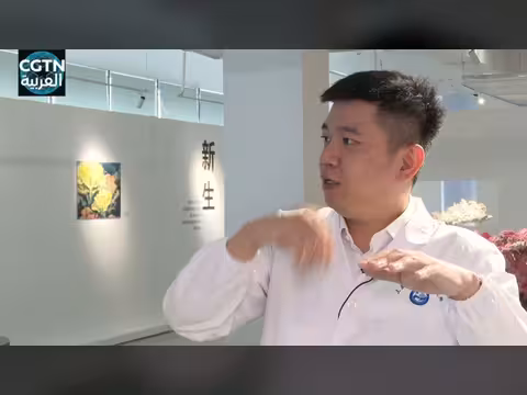 منتدى تشونغقوانتسون يناقش الحوكمة البحرية بين الصين والعالم العربي