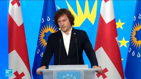 جورجيا: فوز الحزب الحاكم بالانتخابات المحلية واحتجاجات مناهضة للحكومة