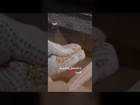 الأمم المتحدة تحذر من تهديد موجات الحر الأمن الغذائي