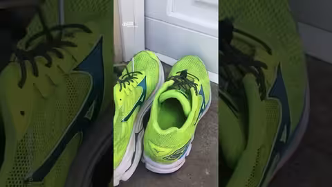 أفعى جرسية سامة تختبئ في حذاء رياضي بكاليفورنيا