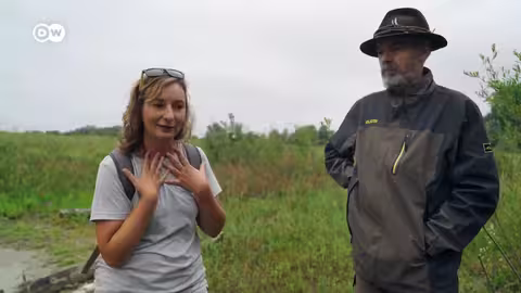 وثائقي | منقذو القنادس وسلاحف البركة | وثائقية دي دبليو