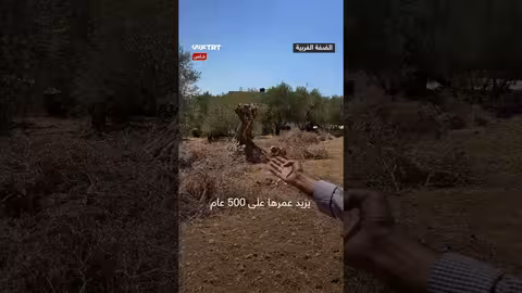 تضييق إسرائيلي على بلدة سنجل الفلسطينية... وجدار يعيق سبل العيش