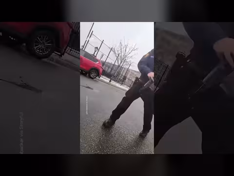 إنقاذ قط شرس: قصة رجل ينقذ قطاً مهجوراً