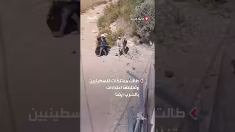 مستوطنون يسرقون ثمار الزيتون من أراضي بورين جنوب نابلس