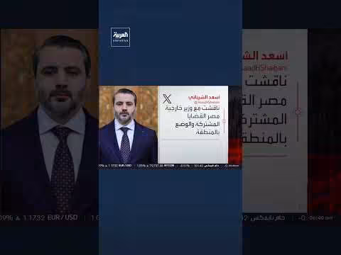 وزير الخارجية السوري يبحث القضايا المشتركة مع نظيره المصري