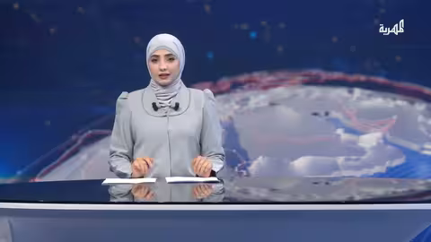 العليمي يدعو لدعم وحدة وسيادة دول المنطقة لحماية باب المندب والبحر الأحمر