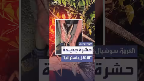 اكتشاف نوع جديد من الكائنات الحية في الغابات