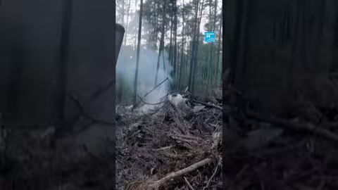 روسيا: لا ناجين من حادث تحطم طائرة - فرانس 24