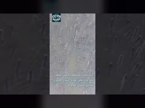 مشهد مذهل في نهر اليانغتسي بعد حظر الصيد