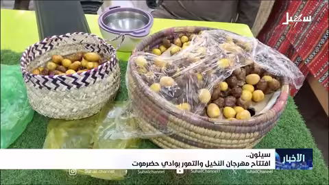مهرجان النخيل والتمور في حضرموت يعزز الإنتاج المحلي