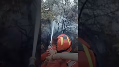 حرائق مستمرة في اليونان وتركيا وألبانيا بسبب موجة حر