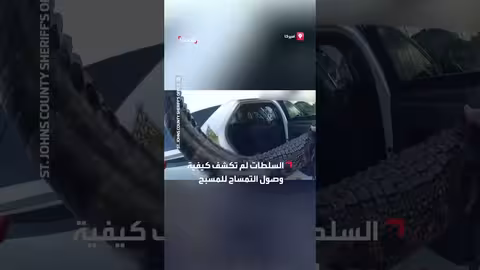 إنقاذ سلحفاة بحرية في اليمن