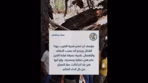 انقسام شجرة الغريب إلى جزأين والأسباب غامضة.. من يتحمل مسؤولية ذلك؟