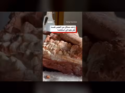 اكتشاف آثار زاحف جديد يعود إلى 230 مليون عام