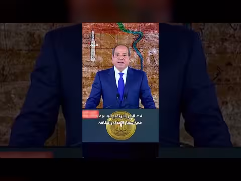 السيسي: مصر خسرت 10 مليارات دولار من إيرادات قناة السويس