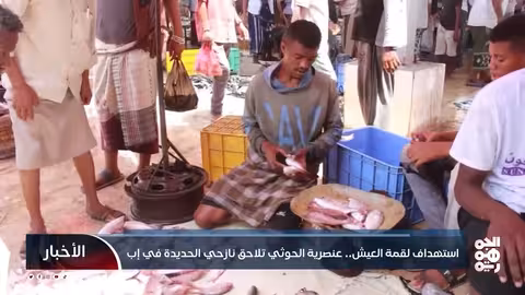 الحوثيون يمنعون نازحي الحديدة من بيع الأسماك في إب