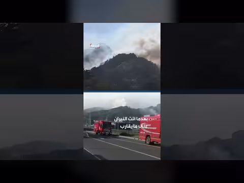 اليابان تخمد أكبر حريق غابات منذ عقود