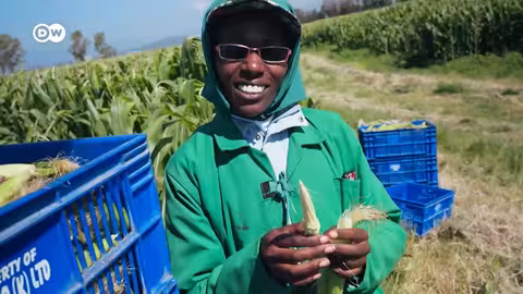 الغذاء العالمي: من كينيا إلى موائد أوروبا