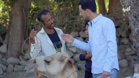 البقرة هذه مثل إبني مقلب البيطري والرعوي