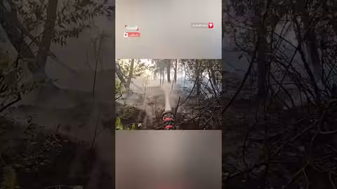 وفاة متطوع في الدفاع المدني السوري إثر حرائق اللاذقية