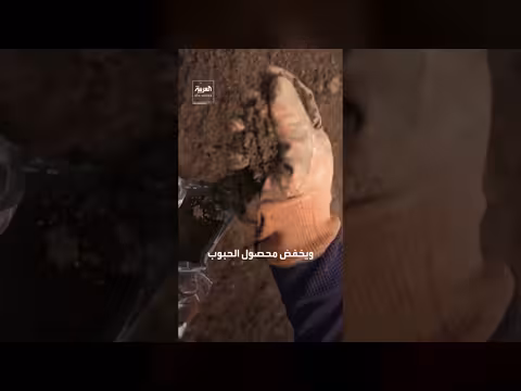 اضطراب مضيق هرمز يهدد إمدادات الأسمدة ويزيد أسعار الغذاء