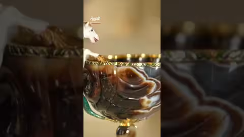 سرقة اللوفر: أدلة الحمض النووي وبصمات الأصابع تقود للقبض على اللصوص