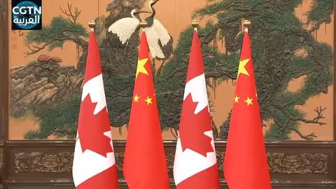 شي جين بينغ وكارني يناقشان تعزيز الشراكة الاستراتيجية