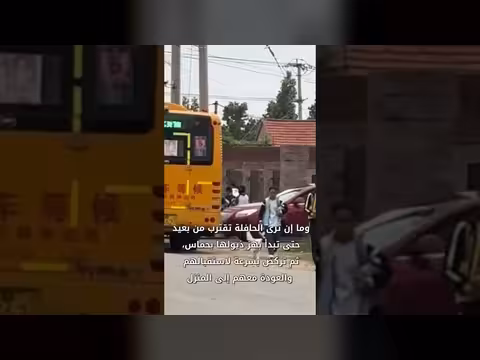 كلاب في الصين تنتظر أطفالها عند موقف الحافلة