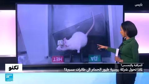 روسيا تحول الحمام إلى طائرات مسيرة: تجسس أم استخدامات مدنية؟