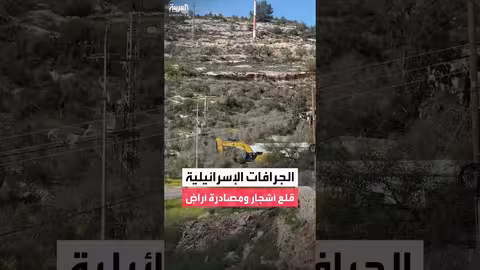 إسرائيل تقلع أشجار الزيتون وتصادر أراضٍ في راس كركر برام الله