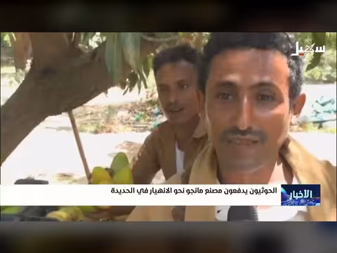 الحوثيون يدفعون مصنع مانجو نحو الانهيار