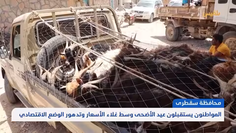 ارتفاع أسعار الأضاحي في سقطرى يثير قلق المواطنين