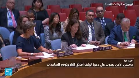 مشروع قرار حول غزة يفشل في مجلس الأمن بسبب اعتراض أمريكا