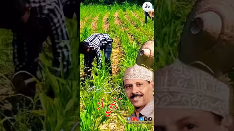 أرض نشوان وأيوب طارش: مؤسسة أيوب طارش تقدم