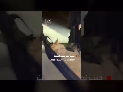 ذئب هارب من حديقة حيوانات في كوريا الجنوبية