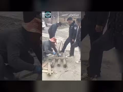 سلم يدوي ينقذ دبًا في الصين