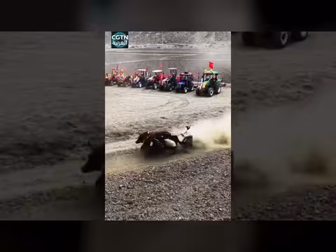 شيغاتسي تحتفل ببدء موسم الحراثة الربيعي بالطريقة التقليدية