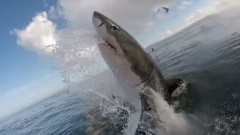 أمريكا الصاخبة: كوميديا جريئة ومقاطع مشوقة - الحلقة 8