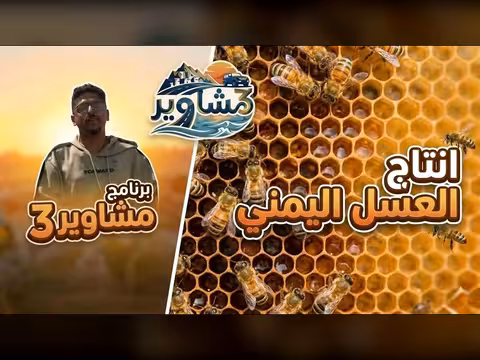 مشاهير3 الحلقة 15: مناحل العسل اليمني
