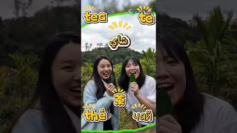 رحلة فنجان الشاي الصيني من الغصن إلى اللسان