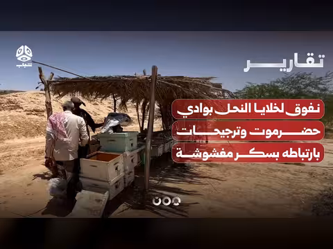 نفوق واسع لخلايا النحل بوادي حضرموت