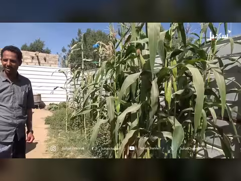 نازح يحوّل حوش منزله إلى مزرعة