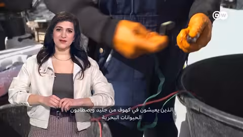 ترامب يصر على شراء غرينلاند: ما السر وراء الجزيرة؟