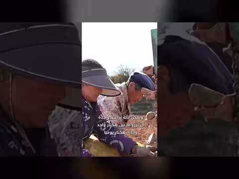 الميكنة الزراعية في الصين ترفع دخل المزارعين وتزيد الكفاءة