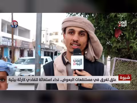 عتق تغرق في مستنقعات البعوض