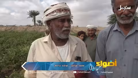 زراعة الخضار في دلتا أبين: تجربة تحدي المناخ وتوفر الغذاء